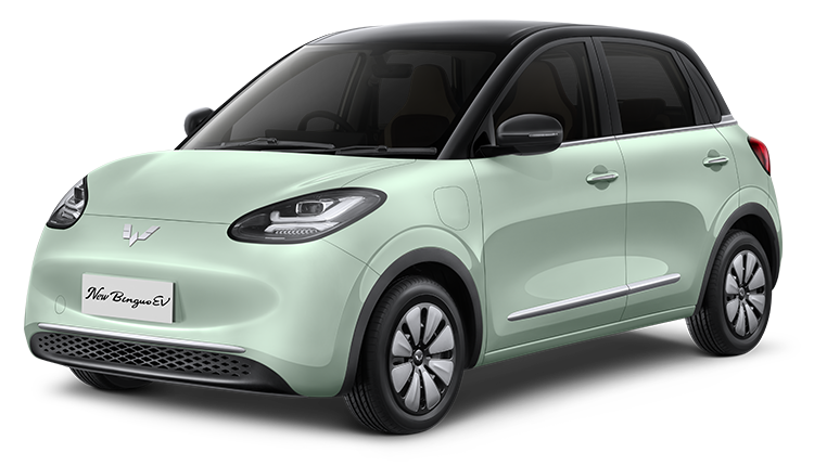 Wuling Binguo EV